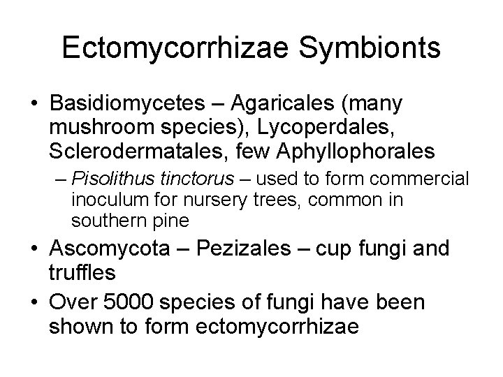 Ectomycorrhizae Symbionts • Basidiomycetes – Agaricales (many mushroom species), Lycoperdales, Sclerodermatales, few Aphyllophorales –