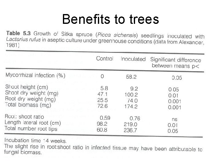 Benefits to trees 