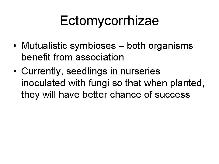 Ectomycorrhizae • Mutualistic symbioses – both organisms benefit from association • Currently, seedlings in