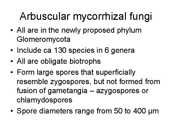 Arbuscular mycorrhizal fungi • All are in the newly proposed phylum Glomeromycota • Include