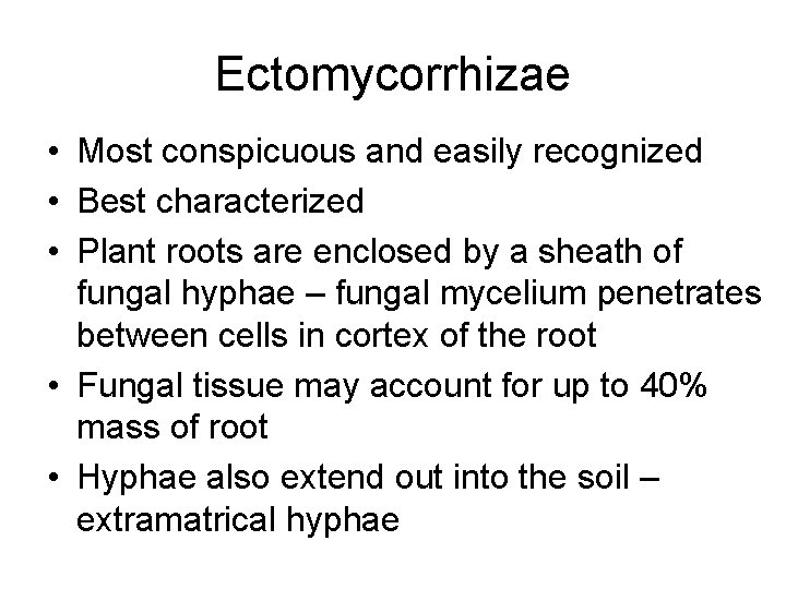 Ectomycorrhizae • Most conspicuous and easily recognized • Best characterized • Plant roots are