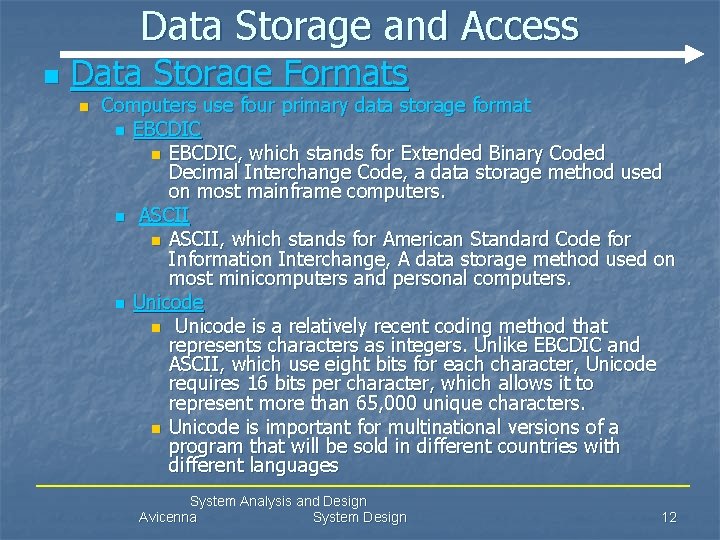 Data Storage and Access n Data Storage Formats n Computers use four primary data