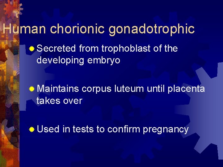 Human chorionic gonadotrophic ® Secreted from trophoblast of the developing embryo ® Maintains corpus