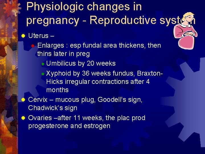 Physiologic changes in pregnancy - Reproductive system Uterus – ® Enlarges : esp fundal