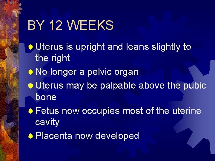 BY 12 WEEKS ® Uterus is upright and leans slightly to the right ®