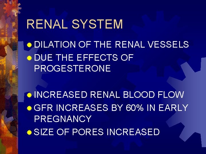 RENAL SYSTEM ® DILATION OF THE RENAL VESSELS ® DUE THE EFFECTS OF PROGESTERONE