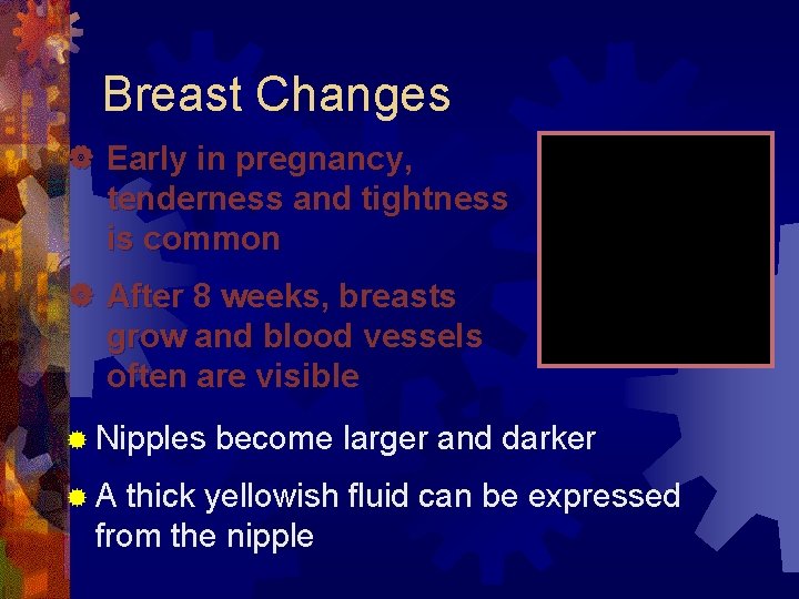 Breast Changes | Early in pregnancy, tenderness and tightness is common | After 8