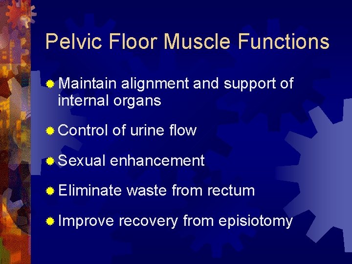 Pelvic Floor Muscle Functions ® Maintain alignment and support of internal organs ® Control