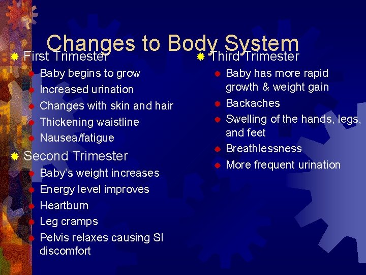 Changes to Body System ® First Trimester ® Third Trimester ® ® ® Baby