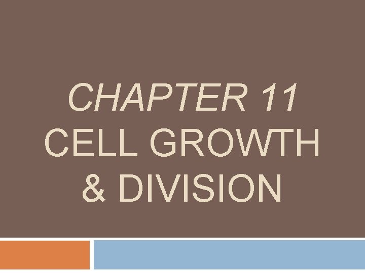 CHAPTER 11 CELL GROWTH & DIVISION 