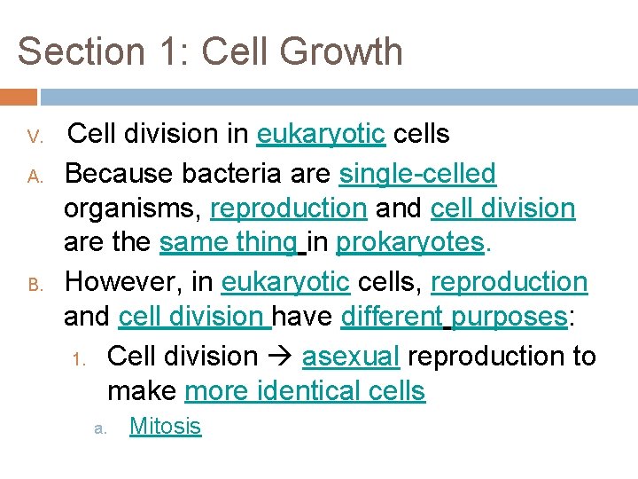 Section 1: Cell Growth V. A. B. Cell division in eukaryotic cells Because bacteria