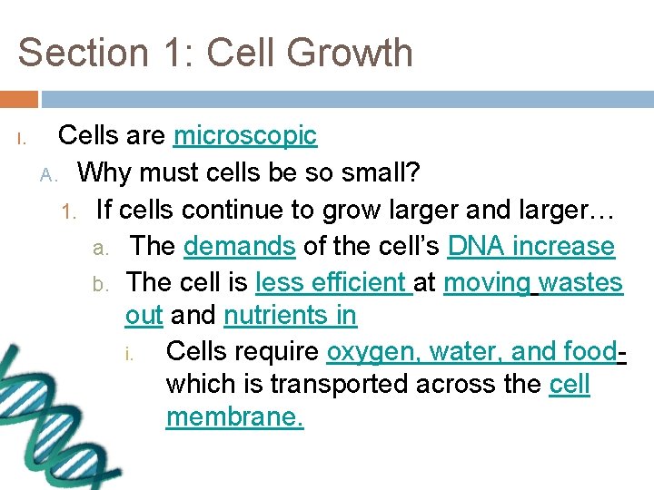 Section 1: Cell Growth I. Cells are microscopic A. Why must cells be so