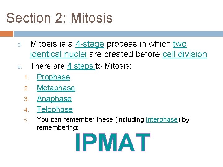 Section 2: Mitosis is a 4 -stage process in which two identical nuclei are