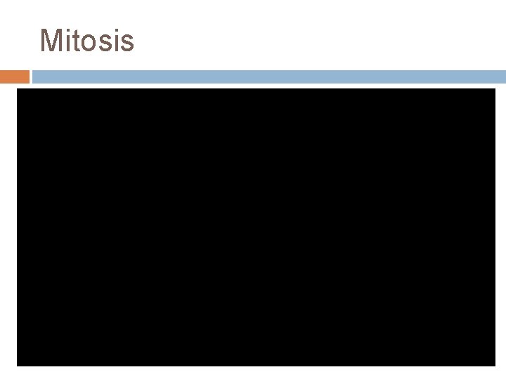 Mitosis https: //www. youtube. com/watch? v=Vl. N 7 K 1 -9 QB 0 