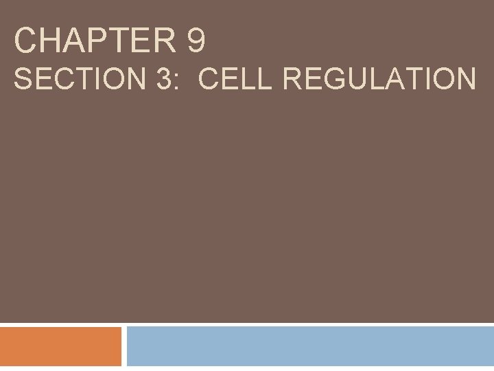 CHAPTER 9 SECTION 3: CELL REGULATION 