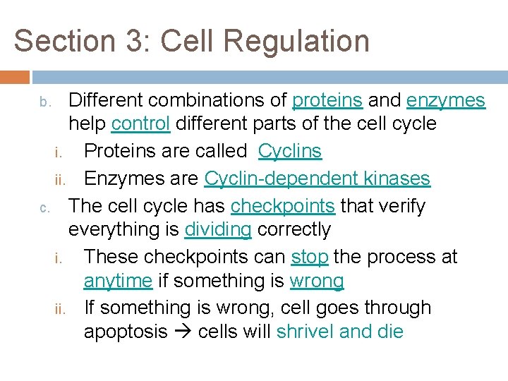 Section 3: Cell Regulation Different combinations of proteins and enzymes help control different parts