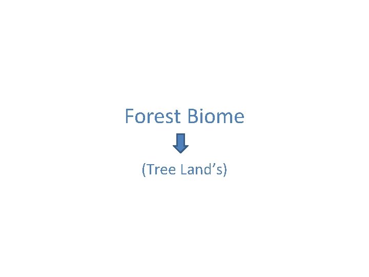 Forest Biome (Tree Land’s) 