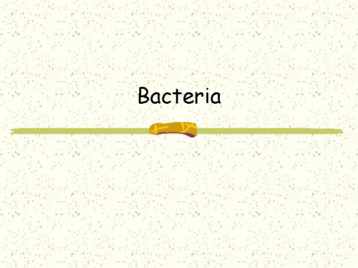 Bacteria 