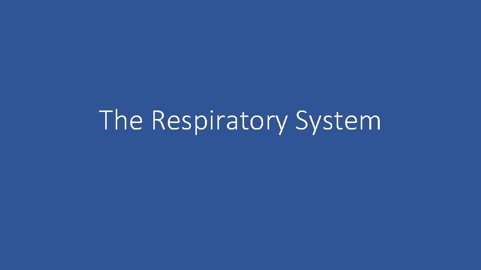 The Respiratory System 
