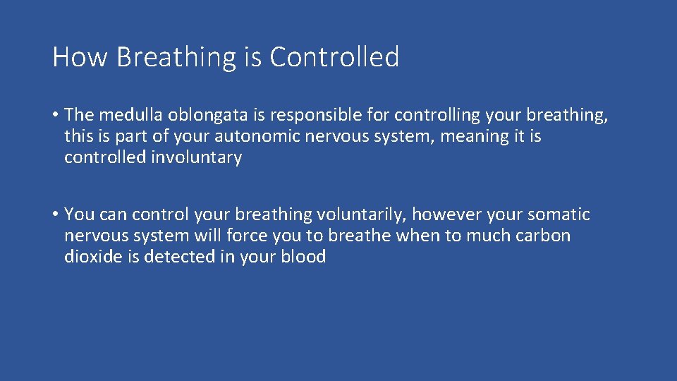 How Breathing is Controlled • The medulla oblongata is responsible for controlling your breathing,