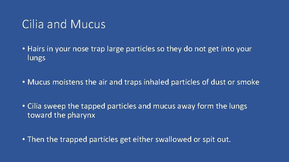 Cilia and Mucus • Hairs in your nose trap large particles so they do