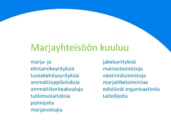 Marjayhteisöön kuuluu marja- ja elintarvikeyrityksiä tuotekehitysyrityksiä ammattioppilaitoksia ammattikorkeakouluja tutkimuslaitoksia poimijoita marjanostajia jakeluyrityksiä mainostoimistoja viestintätoimistoja