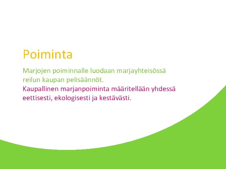 Poiminta Marjojen poiminnalle luodaan marjayhteisössä reilun kaupan pelisäännöt. Kaupallinen marjanpoiminta määritellään yhdessä eettisesti, ekologisesti