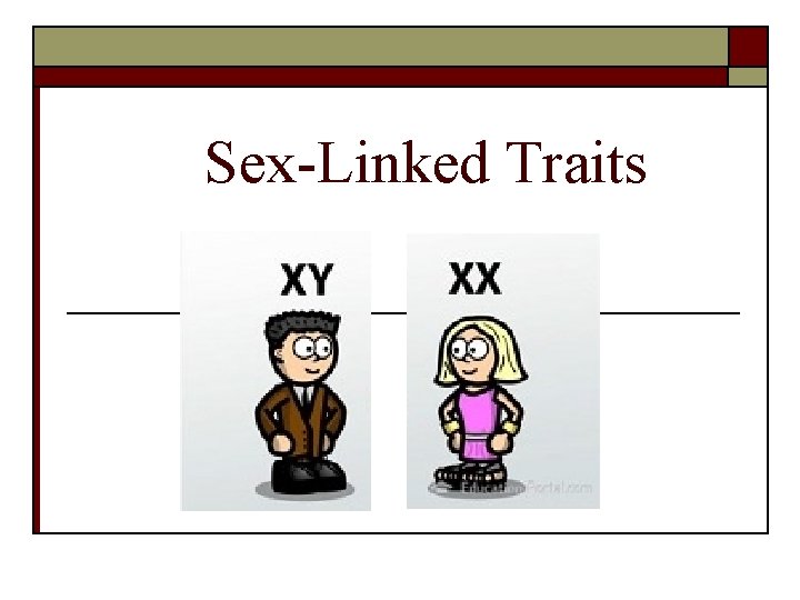 Sex-Linked Traits 