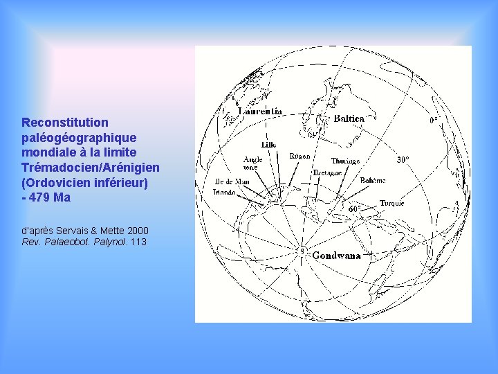 Reconstitution paléogéographique mondiale à la limite Trémadocien/Arénigien (Ordovicien inférieur) - 479 Ma d’après Servais