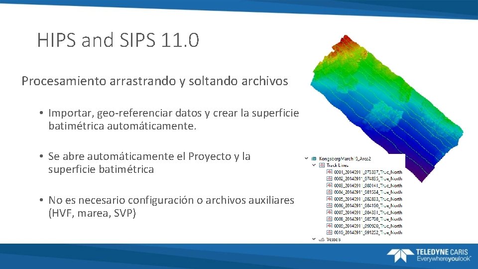 HIPS and SIPS 11. 0 Procesamiento arrastrando y soltando archivos • Importar, geo-referenciar datos