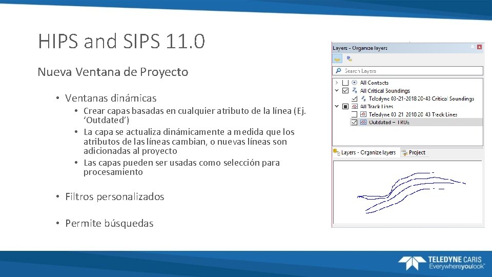 HIPS and SIPS 11. 0 Nueva Ventana de Proyecto • Ventanas dinámicas • Crear