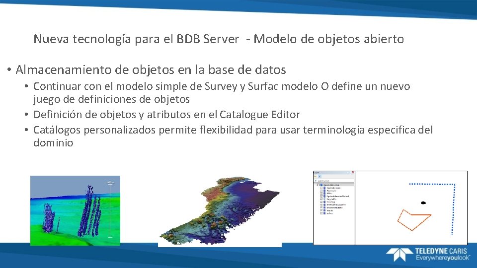 Nueva tecnología para el BDB Server - Modelo de objetos abierto • Almacenamiento de