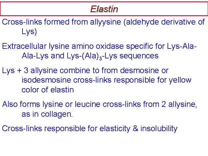 Elastin Cross-links formed from allyysine (aldehyde derivative of Lys) Extracellular lysine amino oxidase specific