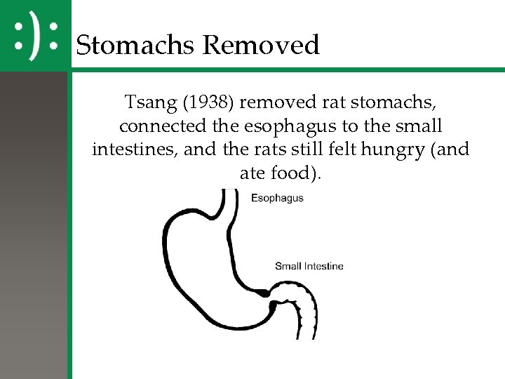 Stomachs Removed Tsang (1938) removed rat stomachs, connected the esophagus to the small intestines,