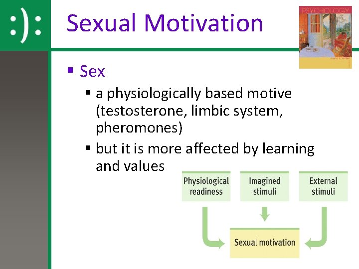 Sexual Motivation § Sex § a physiologically based motive (testosterone, limbic system, pheromones) §