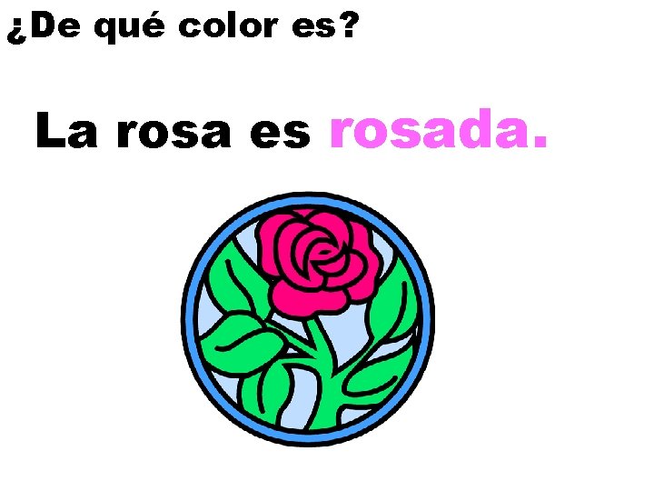 ¿De qué color es? La rosa es rosada. 