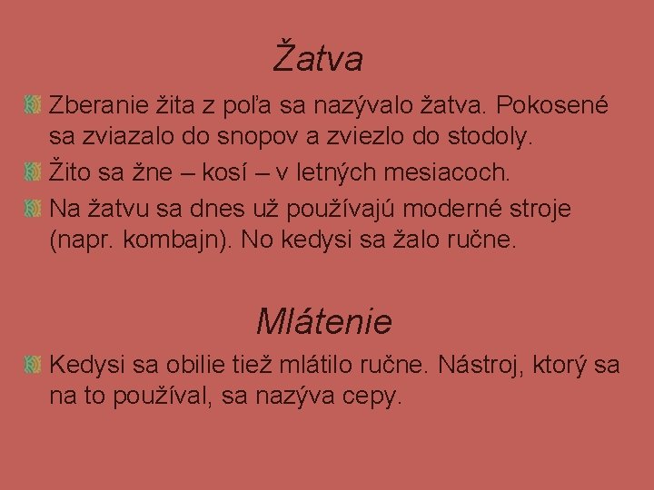 Žatva Zberanie žita z poľa sa nazývalo žatva. Pokosené sa zviazalo do snopov a