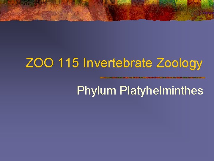 ZOO 115 Invertebrate Zoology Phylum Platyhelminthes 