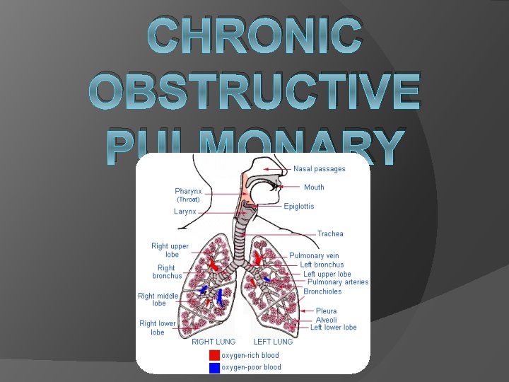 CHRONIC OBSTRUCTIVE PULMONARY DISEASE (COPD) 