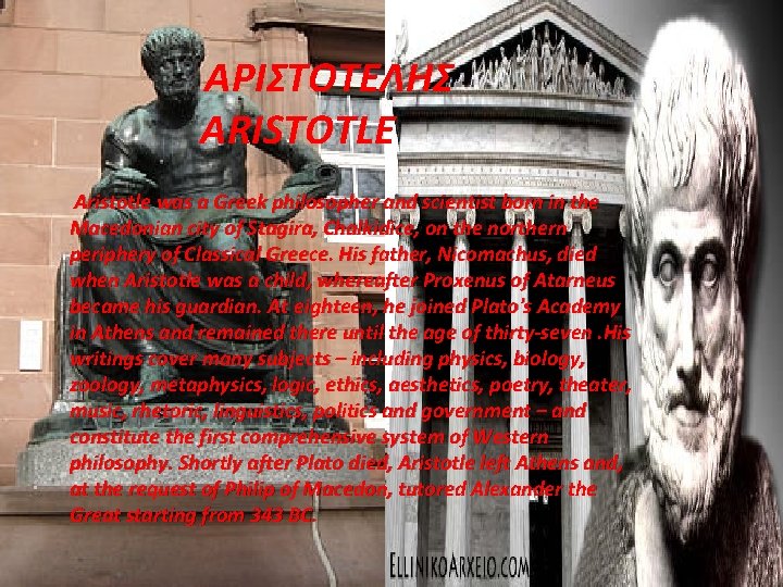 ΑΡΙΣΤΟΤΕΛΗΣ ΑRISTOTLE Aristotle was a Greek philosopher and scientist born in the Macedonian city