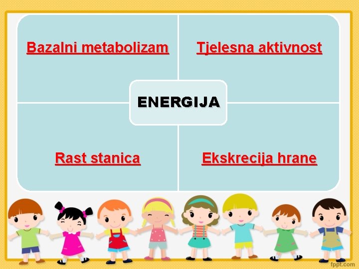 Bazalni metabolizam Tjelesna aktivnost ENERGIJA Rast stanica Ekskrecija hrane 