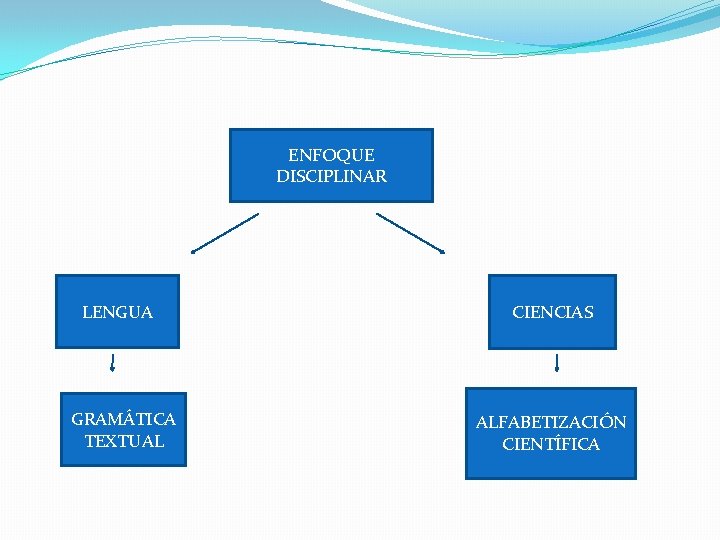 ENFOQUE DISCIPLINAR LENGUA GRAMÁTICA TEXTUAL CIENCIAS ALFABETIZACIÓN CIENTÍFICA 