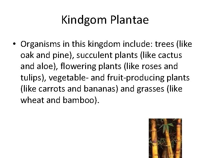 Kindgom Plantae • Organisms in this kingdom include: trees (like oak and pine), succulent