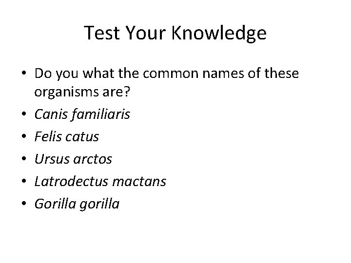 Test Your Knowledge • Do you what the common names of these organisms are?