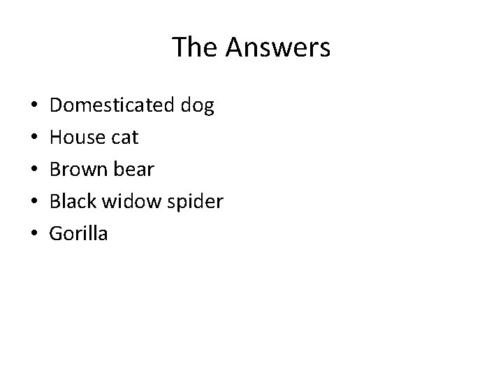 The Answers • • • Domesticated dog House cat Brown bear Black widow spider