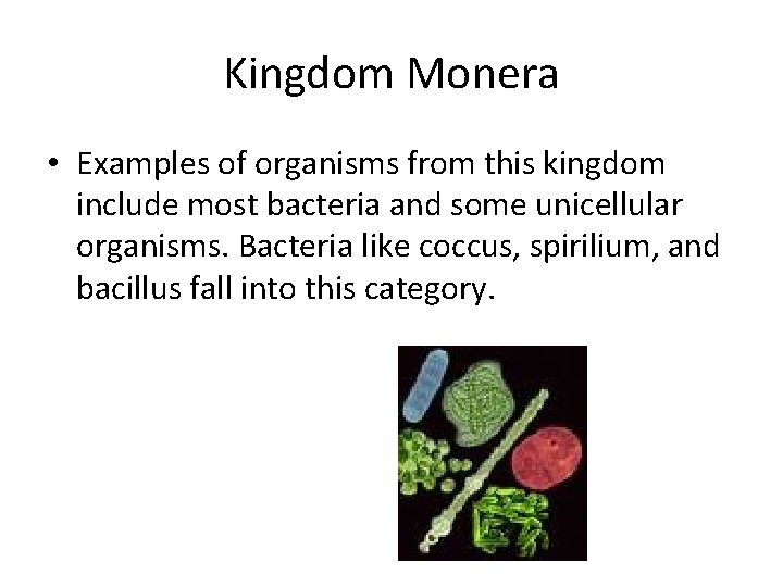 Kingdom Monera • Examples of organisms from this kingdom include most bacteria and some