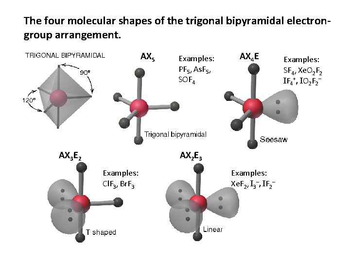 The four molecular shapes of the trigonal bipyramidal electrongroup arrangement. AX 5 AX 3