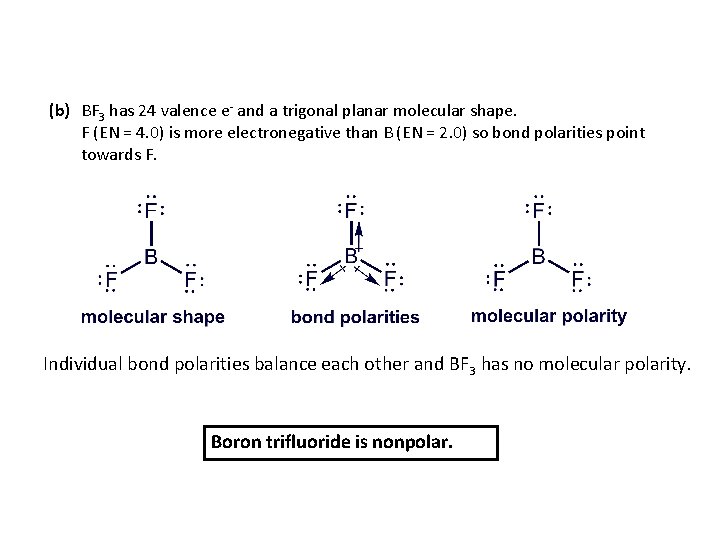 (b) BF 3 has 24 valence e- and a trigonal planar molecular shape. F