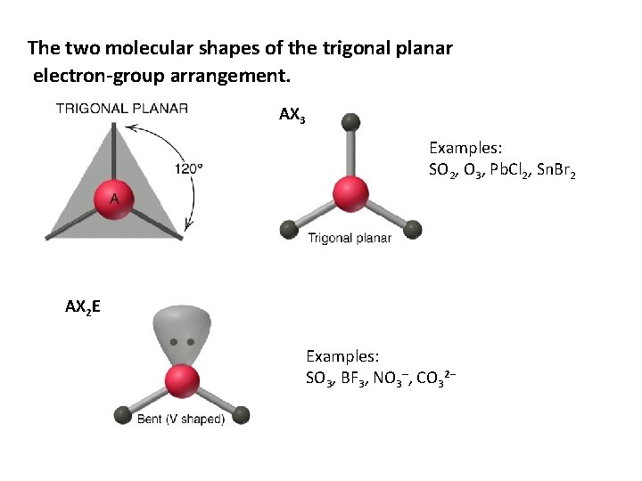 The two molecular shapes of the trigonal planar electron-group arrangement. AX 3 Examples: SO