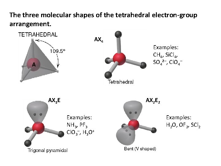 The three molecular shapes of the tetrahedral electron-group arrangement. AX 4 AX 3 E